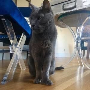 Meet your Posher, Stephen